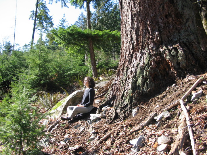 Julia Meditationing with old growth tree