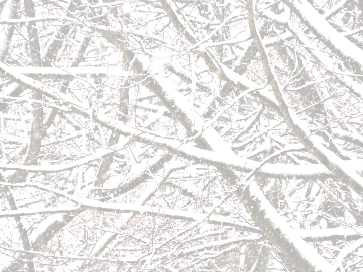 2016 4 Photos Cool White 01