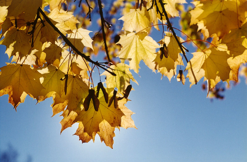 Lightwork Everything is Energy Lightwork