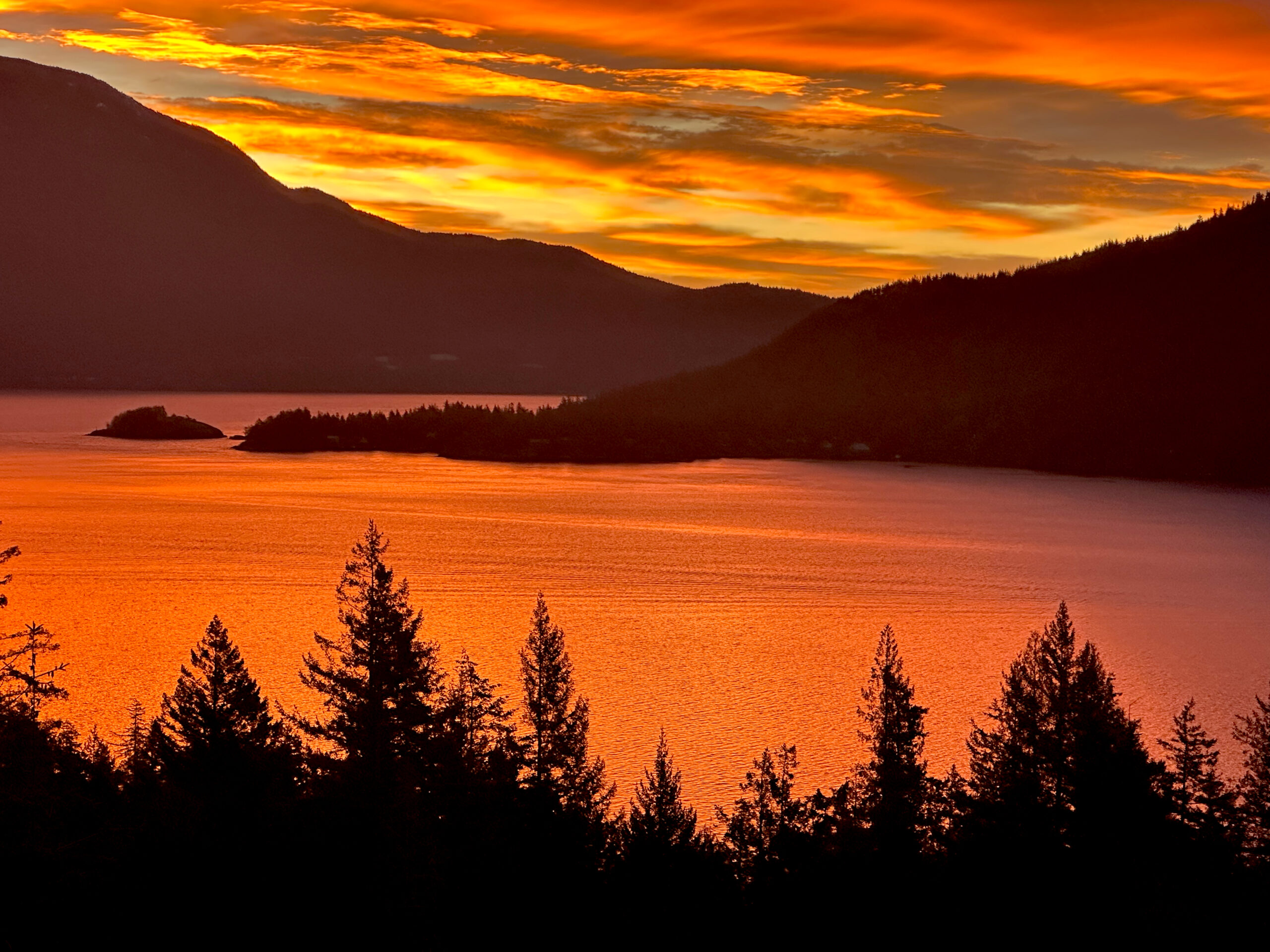 An orange sunset view of the coast with trees
