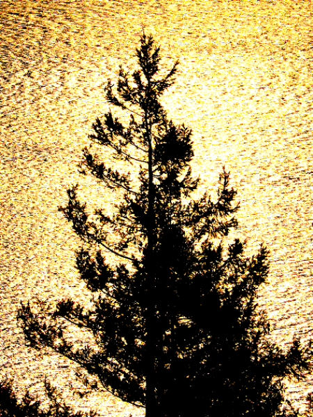 01 Creation Gold 1_resized_cropped