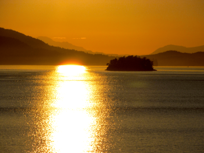 02 Follow the Light 2_resizied