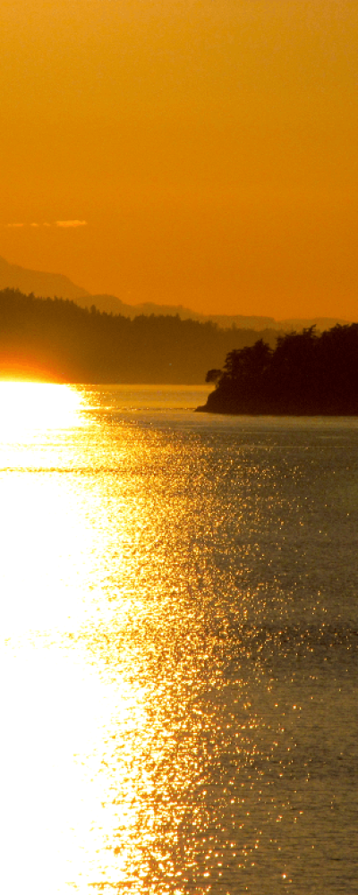 02 Follow the Light 2_resizied