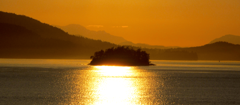 03 Follow the Light 3_resized_crop-centre-bottom