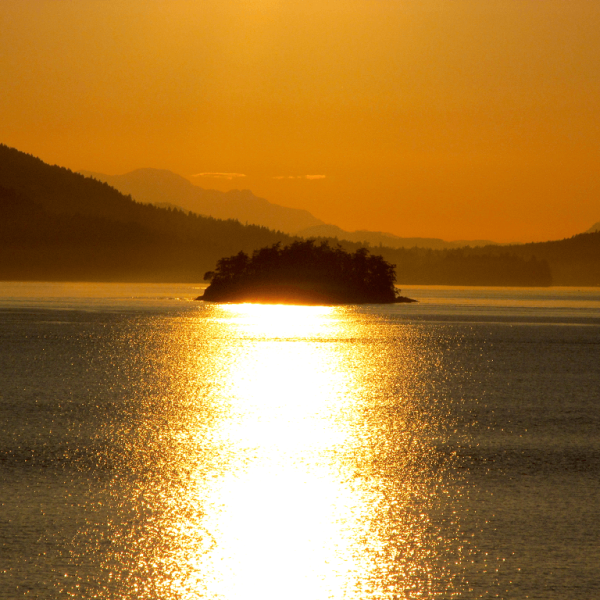 03 Follow the Light 3_resized_crop-centre