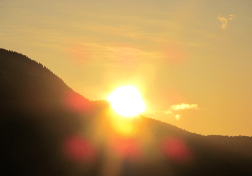 24144653528_ee6b246152_o_resized_cropped_bottom