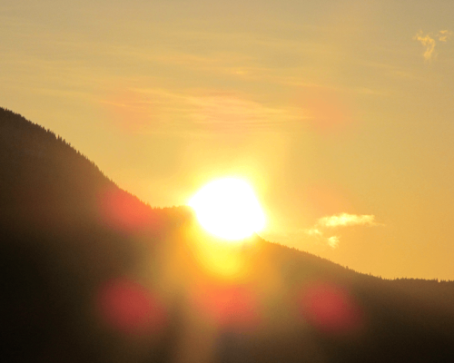 24144653528_ee6b246152_o_resized_cropped_bottom