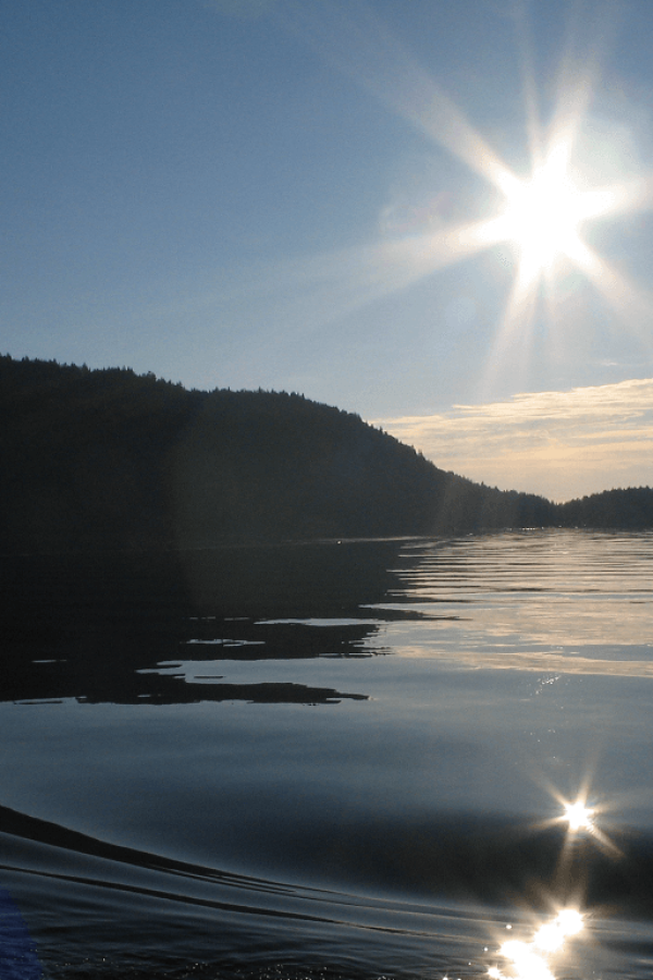 29037839224_28f3ee4f19_o_resized