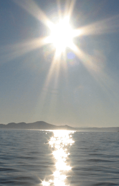 29527902980_340f7ec8dd_o_resized_cropped