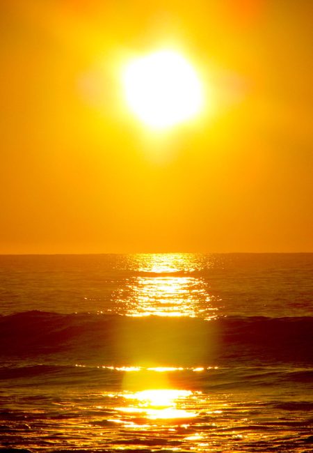 31901409347_0492213fe5_c