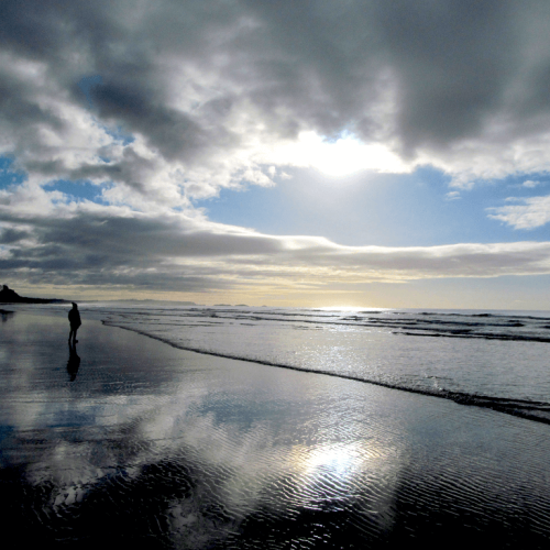 32967209968_3746a91699_o_resized