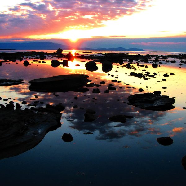 37841317181_3ffff4a587_o