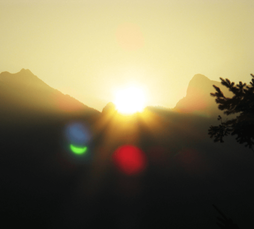 37965747892_5647d478dc_o_resized_cropped