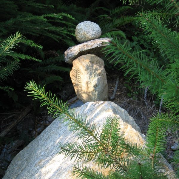 37996230831_9d21bdee03_o