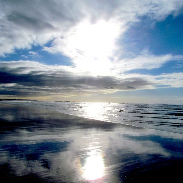 39877698923_92d5460272_o