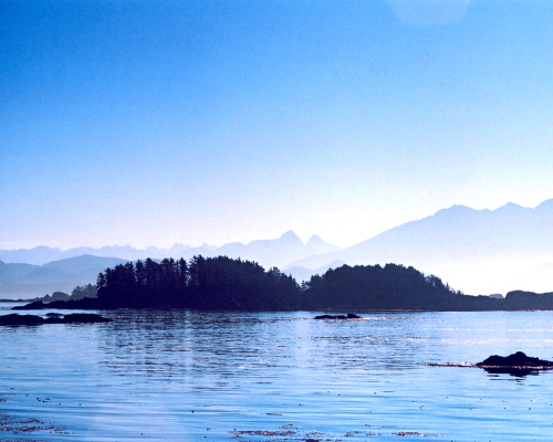 49456626826_a117bf1af5_o_resized