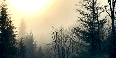 51815361294_611cb82632_o_resized