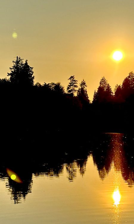 53563564993_4c1801f87d_c