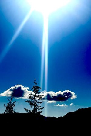 54395472008_60b28b7f9a_c