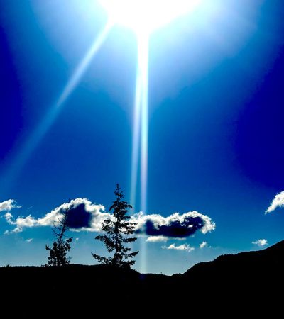 54395472008_60b28b7f9a_c