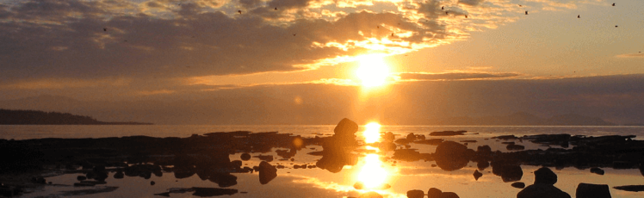 Picture 194_resized_cropped