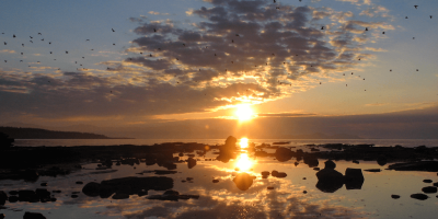 Picture 194_resized_cropped.bottom